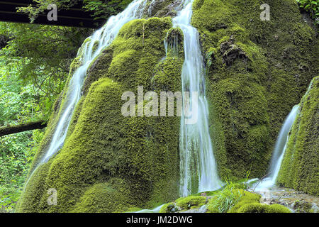 Belle cascade sur la roche moussue, détail cascade Bigar Banque D'Images