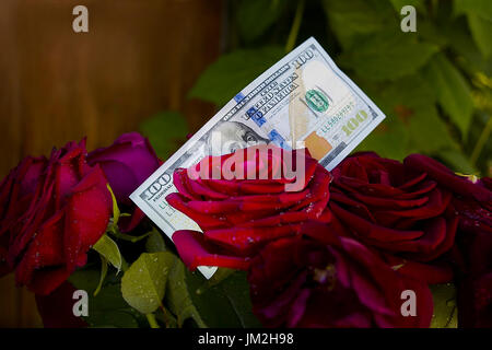 Un billet de cent dollars fixé sur le bouquet de roses, vert feuillage dans l'arrière-plan flou Banque D'Images