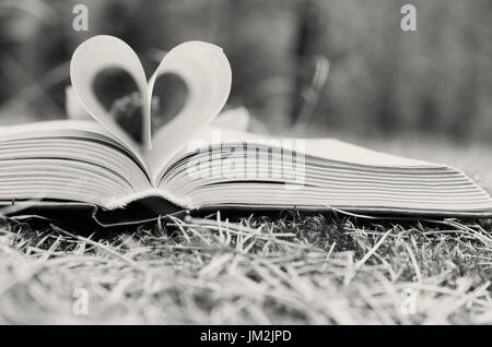Les pages du livre ouvert sont empilées sous la forme d'un coeur Banque D'Images