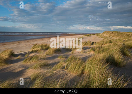 Dunes de sable et la plage, Holkham National Nature Reserve, North Norfolk Banque D'Images