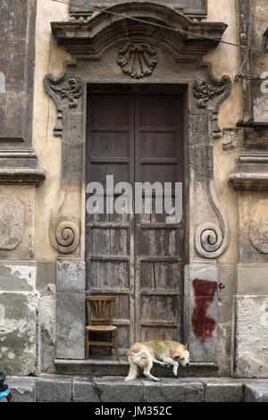 Chien dormir dans une église baroque de porte, dans la Via Porto Carini, Capo market, le centre de Palerme. Banque D'Images
