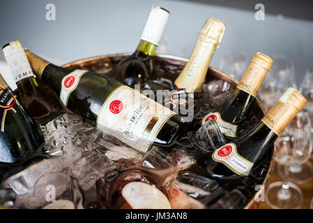 Bouteilles de vin gastronomique mixtes dans les glaces au bar de la benne du refroidisseur Banque D'Images