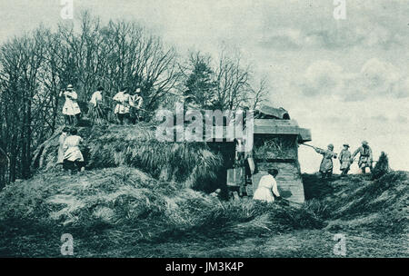 Women's Land Army au travail sur un rick, ww1 Banque D'Images