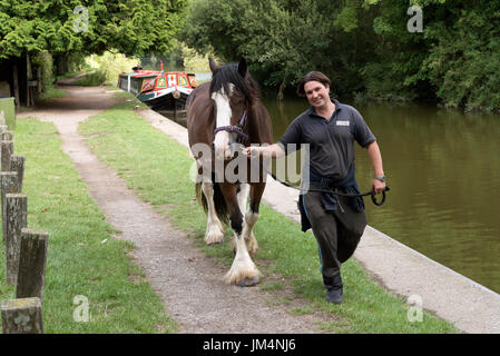 Cheval en bateau sur le canal Kennet & Avon à Kintbury, Berkshire, Angleterre Royaume-uni Handler déménagement le Clydesdale Cob le long d'un chemin de halage. Banque D'Images