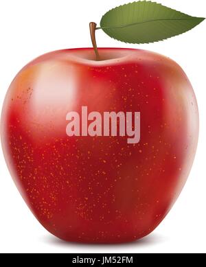 Pommes rouges avec des feuilles vertes. Illustration de Vecteur