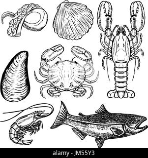 Série d'illustrations de fruits de mer à la main. Éléments de conception pour le poster, menu. L'huître, le crabe, les crevettes, le saumon, le homard. Vector illustration Illustration de Vecteur