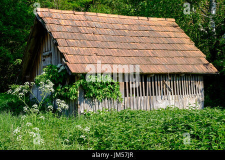 Pig sty dépendance dans le jardin d'une maison de village rural typique dans la région de zala en Hongrie Banque D'Images