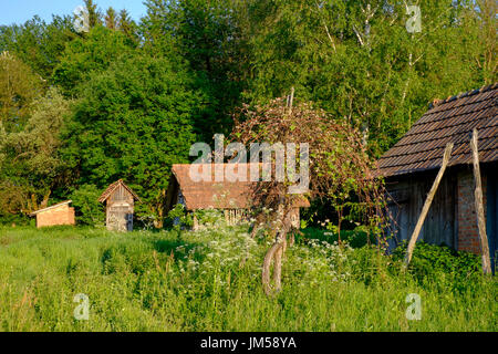 Dépendances dans le jardin d'une maison de village rural typique dans la région de zala en Hongrie Banque D'Images