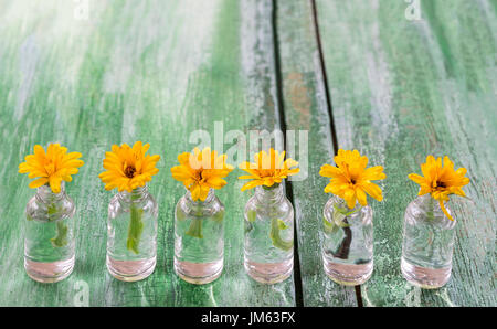 Fleurs jaunes de calendula en médecine bouteilles sur fond de bois vert craquelé ancien Banque D'Images