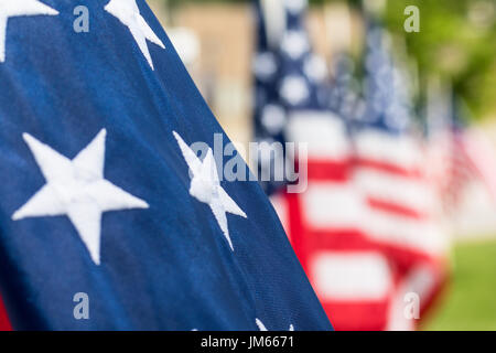 Photo d'un horizontal de près de l'étoile blanche sur fond bleu du drapeau américain et plusieurs autres drapeaux américains in soft focus à l'arrière-plan Banque D'Images