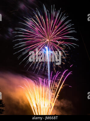 Photo verticale de jaune, orange et violet d'artifice jaillissant du sol alors qu'un artifice multicolore explose dans le ciel de nuit Banque D'Images