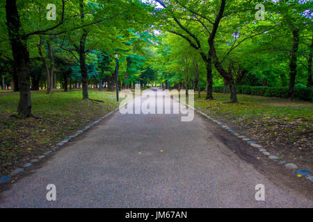 Chemin de la chaussée dans un parc près de la gare d'Osaka à Osaka, le château est l'un des sites les plus célèbres du Japon Banque D'Images