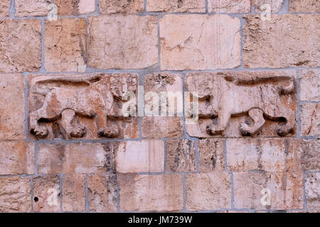 Emblème héraldique du Sultan Mamluk Baybars en forme de lions Sur la porte du Lion du XVIe siècle ou la porte Saint-Étienne également Bab al-Asbat dans le mur ottoman situé à l'est Bord de la vieille ville de Jérusalem Israël Banque D'Images