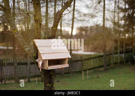 Mangeoire en bois sur l'arbre. Banque D'Images