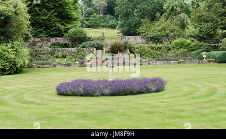 Un jardin clos avec parterre circulaire de lavande Banque D'Images