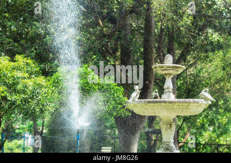 Système d'arrosage de l'eau travaillant dans le jardin. Banque D'Images