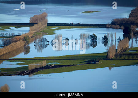 Sur les terres agricoles inondées, près de plaines Taieri Mosgiel, Dunedin, île du Sud, Nouvelle-Zélande Banque D'Images