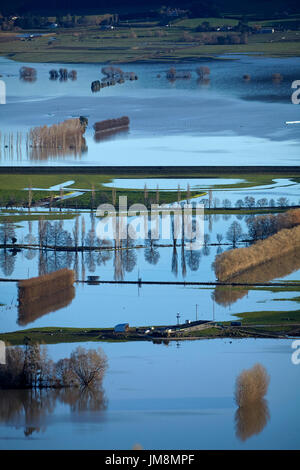 Sur les terres agricoles inondées, près de plaines Taieri Mosgiel, Dunedin, île du Sud, Nouvelle-Zélande Banque D'Images