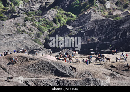 Paysage de montagne Parc National de Bromo Tengger Semeru à Java Est, Indonésie. Banque D'Images