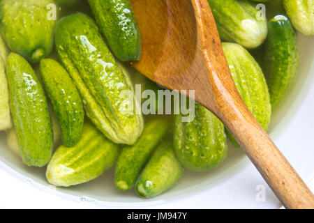 Cornichons cultivés d'être stired en saumure avant décapage Banque D'Images