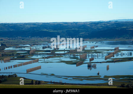 Sur les terres agricoles inondées, près de plaines Taieri Mosgiel, Dunedin, île du Sud, Nouvelle-Zélande Banque D'Images