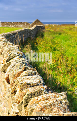 Sunny Bay des Orcades, Skaill Mainland, près de Skara Brae plan du Banque D'Images