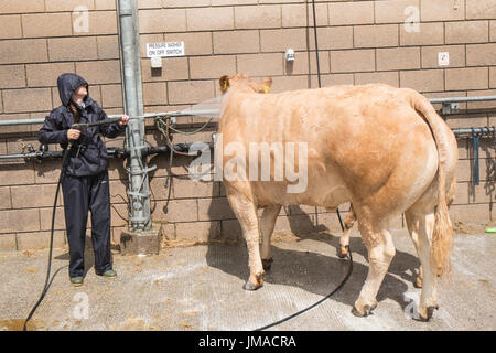 Savon,laver,off,montrant,Royal Welsh Show agricole,lieu,chaque année,en, Royal Welsh Showground, Llanelwedd,Builth Wells, Powys, Wales, UK,Royaume-Uni, Banque D'Images