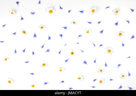 Pétales de bleuet et fleurs Daisy motif sur fond blanc. Mise à plat, vue du dessus Banque D'Images