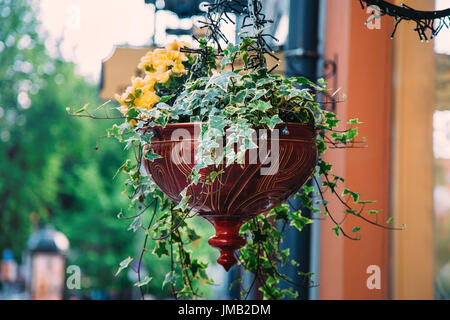 Pot de fleurs avec des fleurs jaunes ornent les rues. Point sur le premier plan Banque D'Images