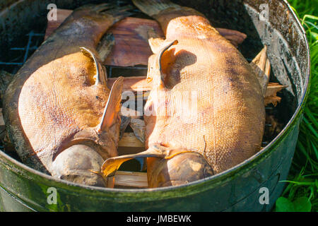 Processus de fumage du poisson pour une utilisation à domicile. Le poisson fumé. Close Up de fumage du poisson dans fumeurs versé pour un usage à domicile. La fumée provenant du feu ouvert Banque D'Images