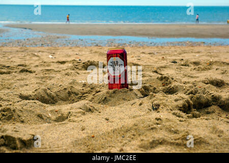 OLD SPECKLED HEN SUR LA PLAGE ! Banque D'Images