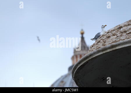 Rom, Vatican. Le 25 juillet, 2017. En raison de la sécheresse qui touche la ville de Rome le Gouvernorat de l'état de la Cité du Vatican de désactiver les fontaines de la Place Saint Pierre. Crédit : Alexandr Goussev/Pacific Press/Alamy Live News Banque D'Images