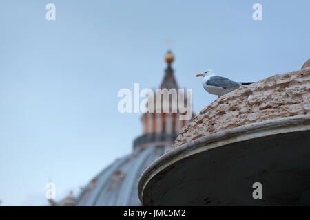 Rom, Vatican. Le 25 juillet, 2017. En raison de la sécheresse qui touche la ville de Rome le Gouvernorat de l'état de la Cité du Vatican de désactiver les fontaines de la Place Saint Pierre. Crédit : Alexandr Goussev/Pacific Press/Alamy Live News Banque D'Images