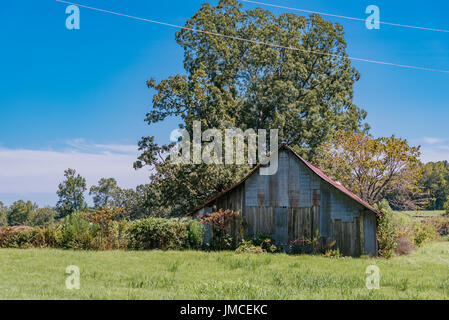 Old weathered barn, en Alabama, USA, avec un toit en métal rouge assis dans un champ vert. Banque D'Images