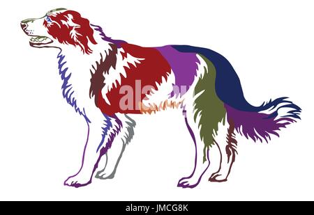 Contour décoratif portrait de profil de chien border collie,vecteur coloré illustration isolé sur fond blanc Illustration de Vecteur