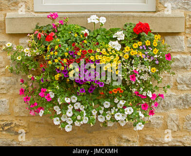 Masse de plantes à fleurs de couleur rose et blanc inc, Pétunias, rouge, jaune, pourpre, calibrachoas en suspension contre la lumière mur de pierre Banque D'Images