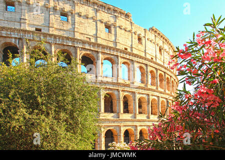 Le Colisée à Rome, Italie Banque D'Images