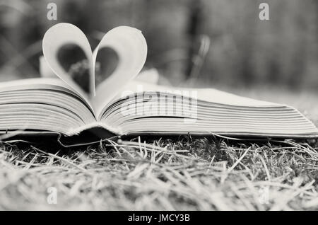 Les pages du livre ouvert sont empilées sous la forme d'un coeur Banque D'Images