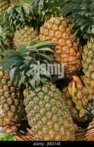 De nombreux tas d'ananas mûrs fruits entiers dans un panier, l'arrière-plan Banque D'Images