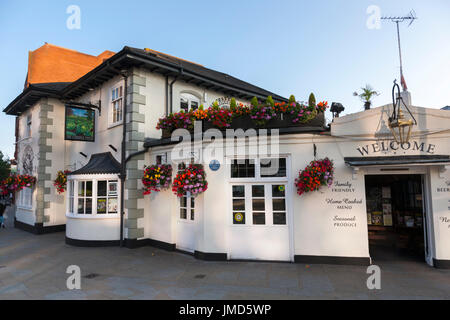 Le pub local / Cabbage Patch / public house. Twickenham, Royaume-Uni ; occupé / monde / lieu populaire sur les jours de match de rugby. Banque D'Images