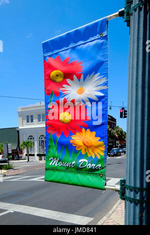 Montage historique Mt. Le centre-ville de Floride Dora Donnelly Street signs directions entreprises Banque D'Images