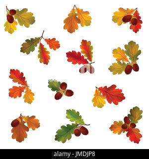L'icône de l'automne. Automne feuilles et baies. Symbole de la nature collection vecteur isolé sur fond blanc. Banque D'Images