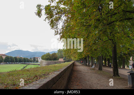 La vue de paysage de la vieille ville avec le mur de montagnes et d'arbres sur l'arrière-plan. lucca toscane italie... Banque D'Images