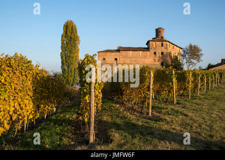 L'Italie, Piémont, Langhe, vignobles autour de Barolo en automne Banque D'Images