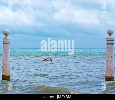 La mouette vole entre deux anciennes colonnes de Cais das Colunas (Colonnes) de la jetée sur le fleuve Tage, Lisbonne, Portugal. Banque D'Images