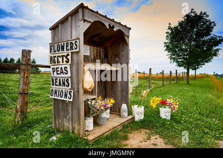 Rural en bordure de stand de légumes Banque D'Images