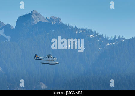 Saltspring Air historique de Havilland Beaver hydravion survolant forêts éloignées de la Colombie-Britannique, Canada. Banque D'Images