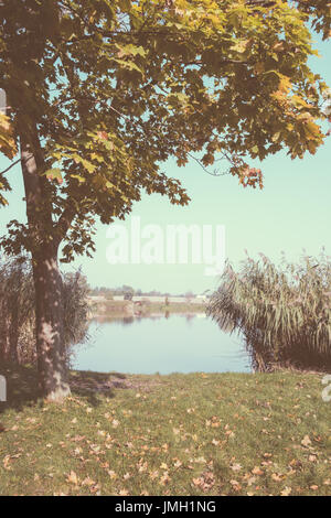 Forêt d'automne et le lac Banque D'Images
