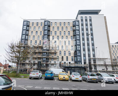 Jardins ouvriers à Kennedy high rise appartements en Billingham,Teesside, Angleterre, retrait des portes après vérification dans le service d'incendie de la tour de Grenfell Banque D'Images