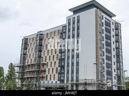 Jardins ouvriers à Kennedy high rise appartements en Billingham,Teesside, Angleterre, retrait des portes après vérification dans le service d'incendie de la tour de Grenfell Banque D'Images